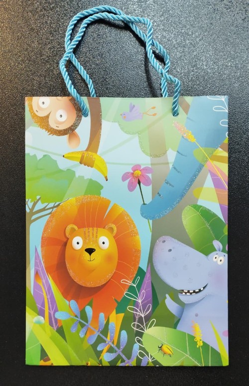 Gift Bag-C