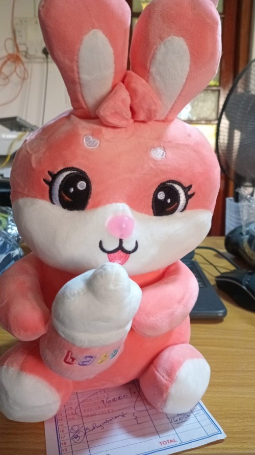 Soft Toy Rabbit
