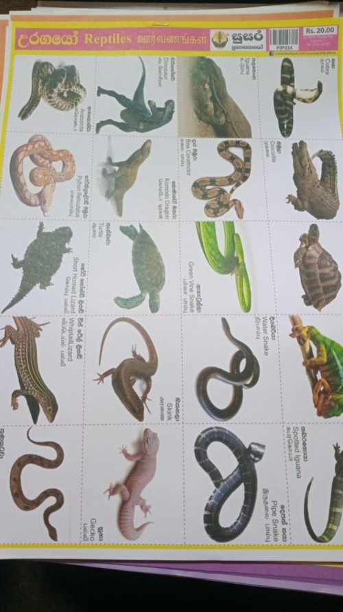 Pinthura Kola -Snakes