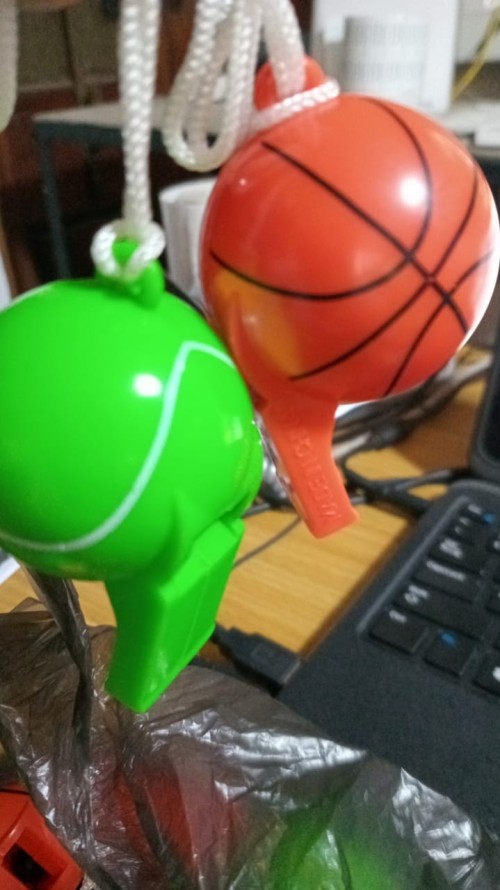 Plastic Visil
