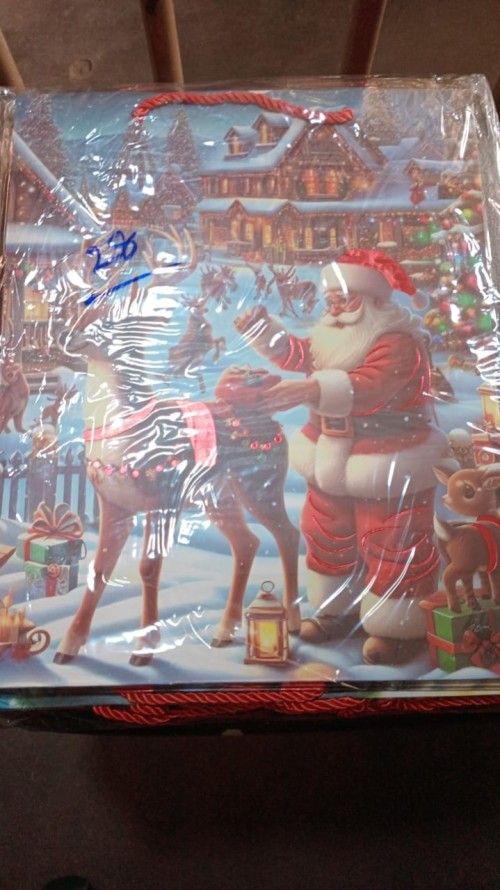 Christmas Gift Bag - Large