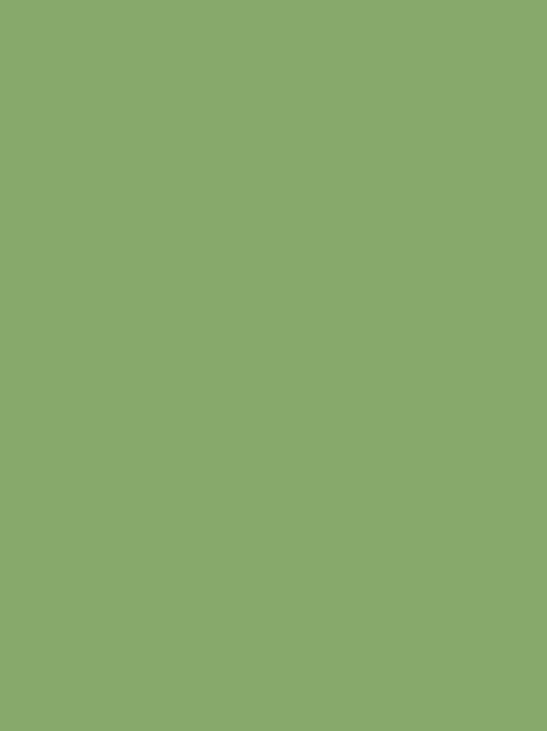 Color A4 Sheet - Asparagus