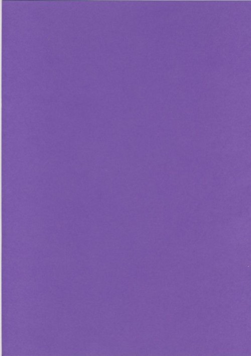 Color A4 Sheet - Taro