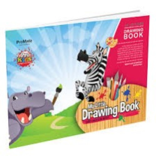 DRAWING BKS P/C SILVER  80P