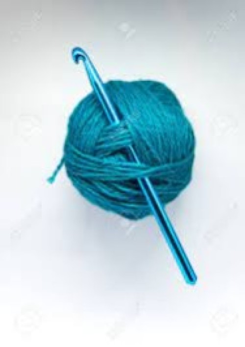 Wool Needle