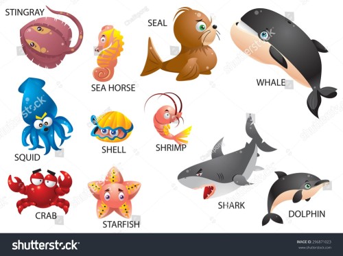 Pinthura Kola -Aquatic Animals