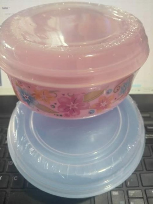 Food Container (Small)