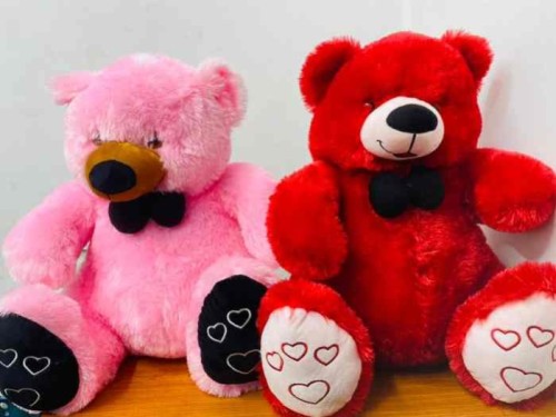Teddy Bear Medium Size