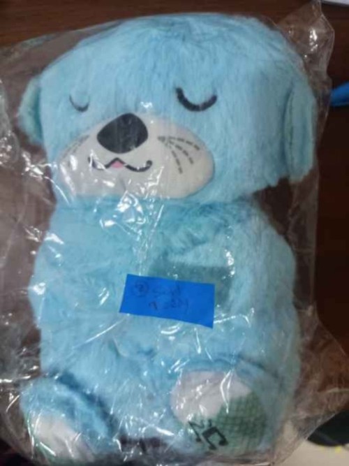 Soft Teddy