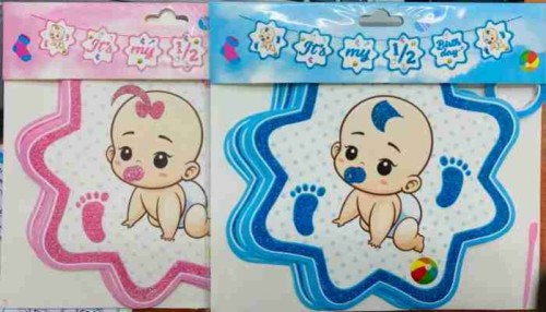 6 Month Baby Banner