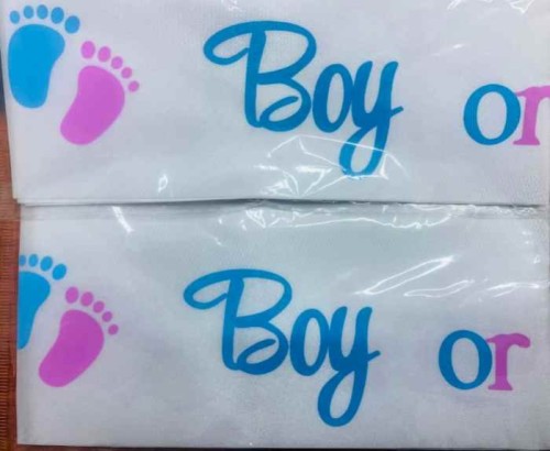 Baby Gender Reveal Sash