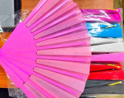 Plain Palm Leaf Fan