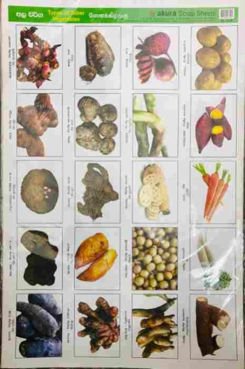 Pinthura Kola - Types of Tuber Vegetables