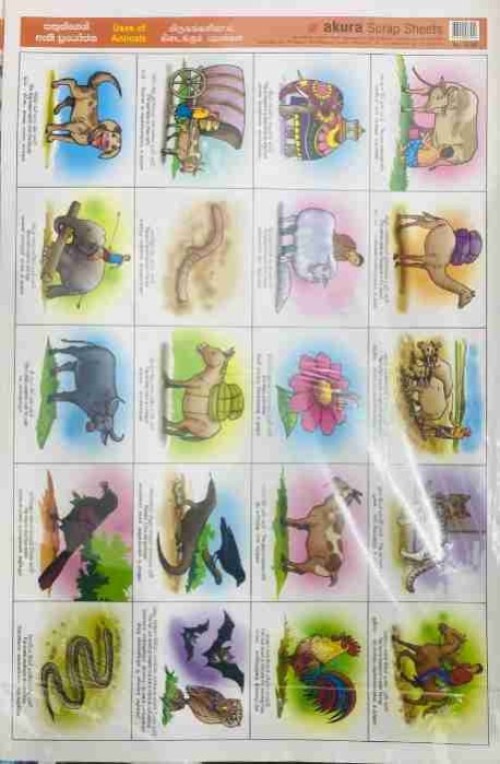 Pinthura Kola - Uses of Animals