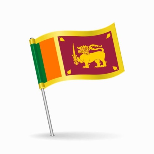 National Flag with Stick